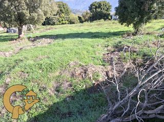 Οικόπεδο 2.000 τ.μ. για πώληση, Ν. Ιωαννίνων, Πασσαρώνα-thumb-5