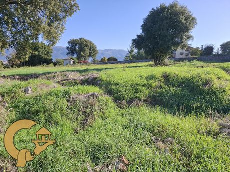 Land plot 2.000sqm for sale-Passarona