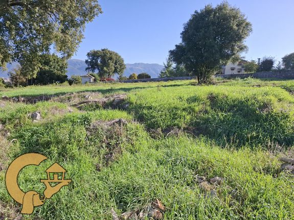 Land plot 2.000 sqm for sale, Ioannina Prefecture, Passarona