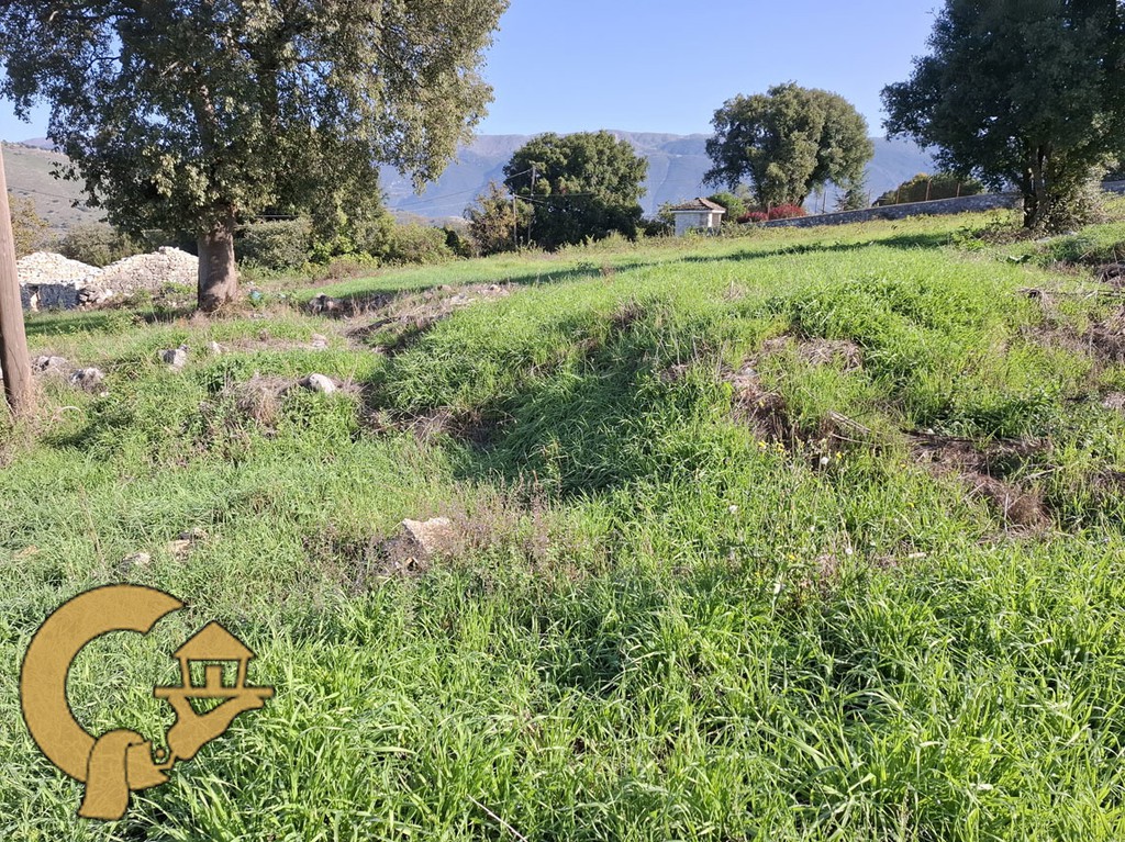 Οικόπεδο 2.000 τ.μ. πρός πώληση, Ν. Ιωαννίνων, Πασσαρώνα