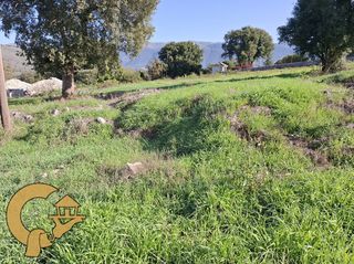 Οικόπεδο 2.000 τ.μ. για πώληση, Ν. Ιωαννίνων, Πασσαρώνα-thumb-2