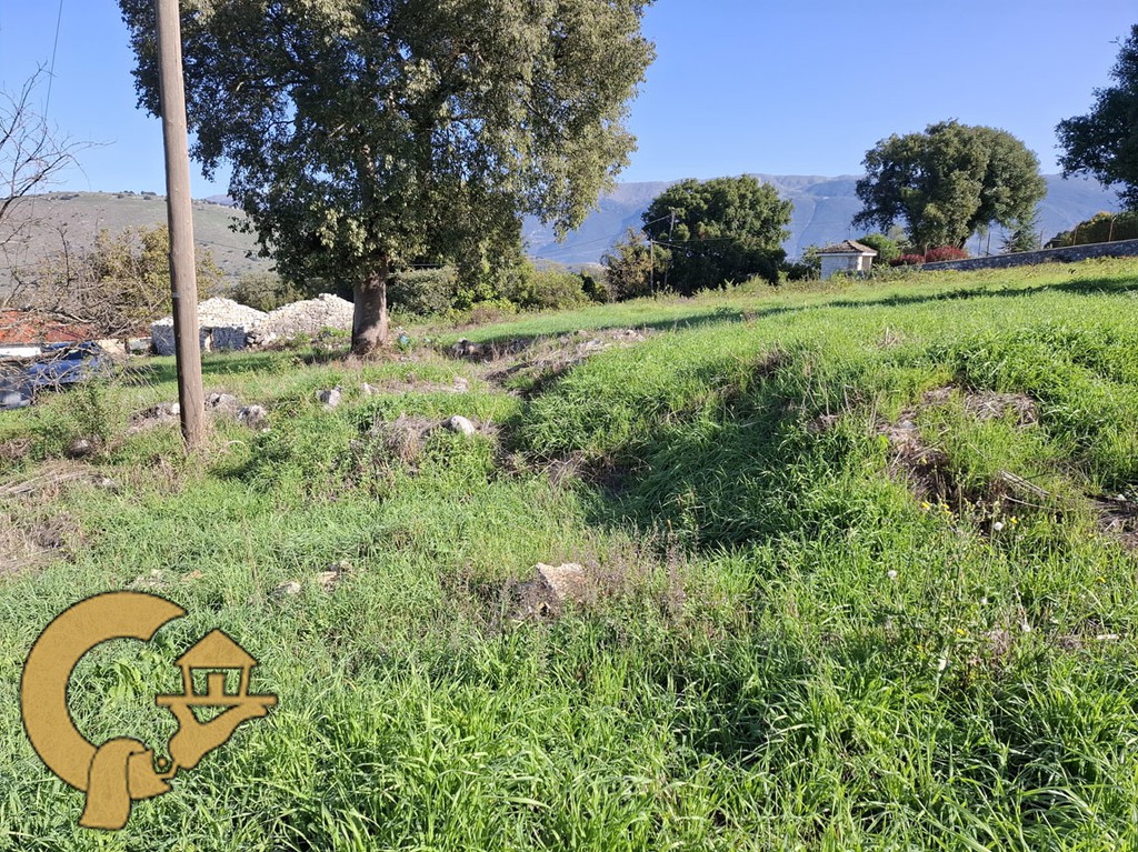 Οικόπεδο 2.000 τ.μ. πρός πώληση, Ν. Ιωαννίνων, Πασσαρώνα