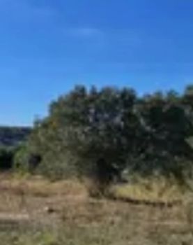 Οικόπεδο 6.000τ.μ. για πώληση-Δονούσα » Σκυλονήσιο