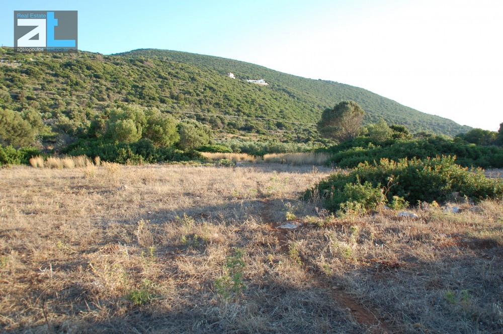 Οικόπεδο 7.000 τ.μ. πρός πώληση, Ζάκυνθος, Περιοχη Χώρας