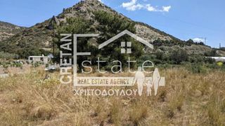 Αγροτεμάχια 4.080 τ.μ. για πώληση