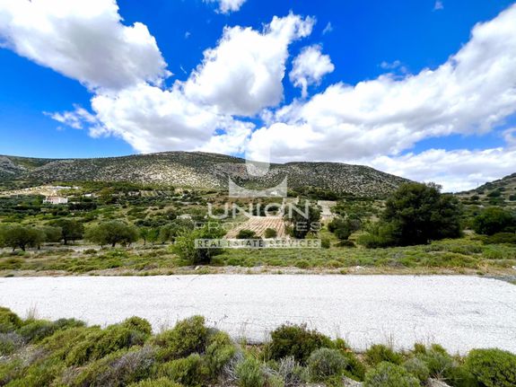 Land plot 4.000 sqm for sale, Rest Of Attica, Kouvaras