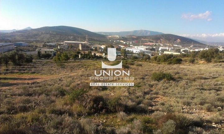 Land plot 23.000 sqm for rent, Rest Of Attica, Kalivia Thorikou