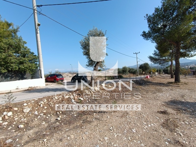 Οικόπεδο 14.200 τ.μ. πρός πώληση, Αθήνα - Ανατολικά Προάστια, Κορωπί