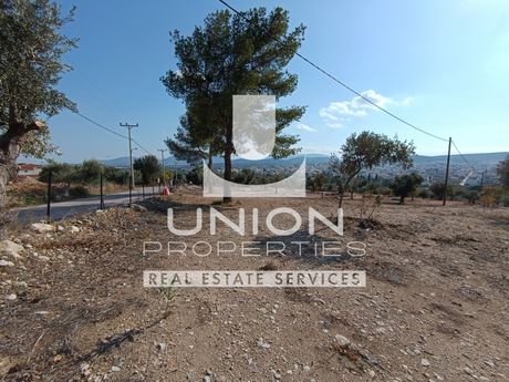 Οικόπεδο 14.200 τ.μ. πρός πώληση