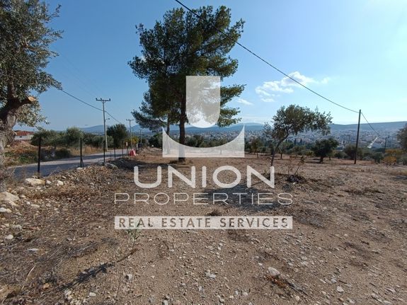 Land plot 18.000 sqm for sale, Athens - East, Koropi