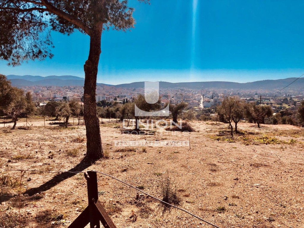 Οικόπεδο 14.200 τ.μ. πρός πώληση, Αθήνα - Ανατολικά Προάστια, Κορωπί