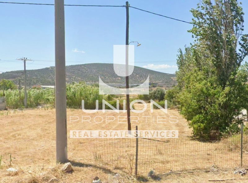 Αγροτεμάχια 2.000 τ.μ. πρός πώληση, Αττική - Υπόλοιπο, Μαρκόπουλο