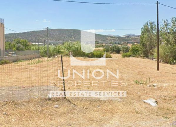 Parcel 2.000 sqm for sale, Rest Of Attica, Markopoulo