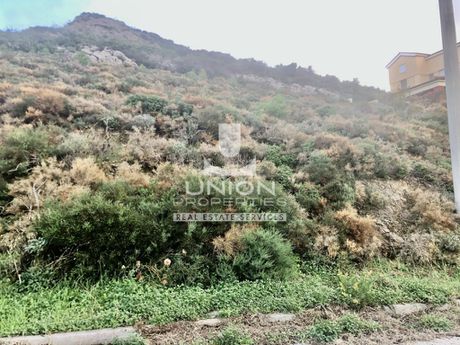 Οικόπεδο 600 τ.μ. πρός πώληση