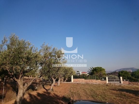 Land plot 7.930 sqm for sale, Athens - East, Koropi