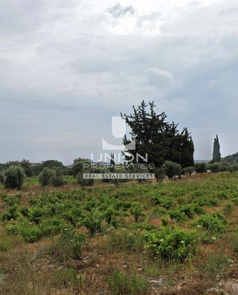 Land plot 1.800 sqm for sale, Athens - East, Spata