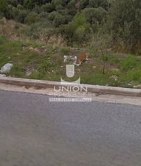 Οικόπεδο 350 τ.μ. προς πώληση