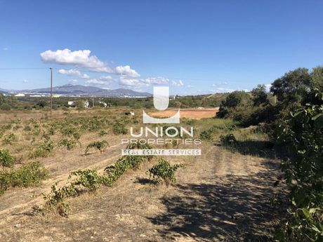 Οικόπεδο 8.800 τ.μ. πρός πώληση