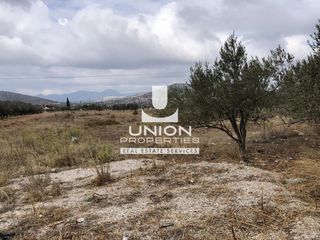 Οικόπεδο 900 τ.μ. προς πώληση