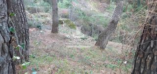 Οικόπεδο 821 τ.μ. για πώληση