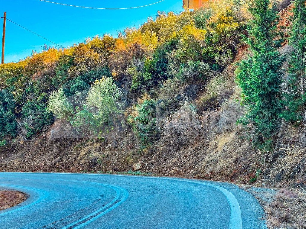 Αγροτεμάχια 5.318 τ.μ. προς πώληση, Σαμπατική
