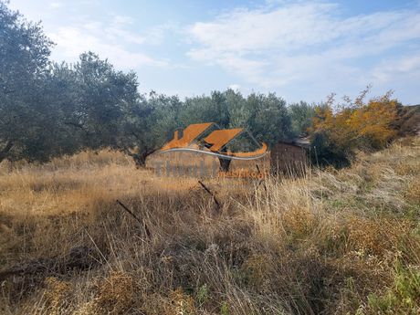 Αγροτεμάχια 1.000τ.μ. για πώληση-Αλεξανδρούπολη » Νέα χιλή