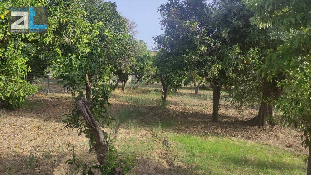 Οικόπεδο 1.035 τ.μ. προς πώληση, Αχαΐα, Βραχναίικα