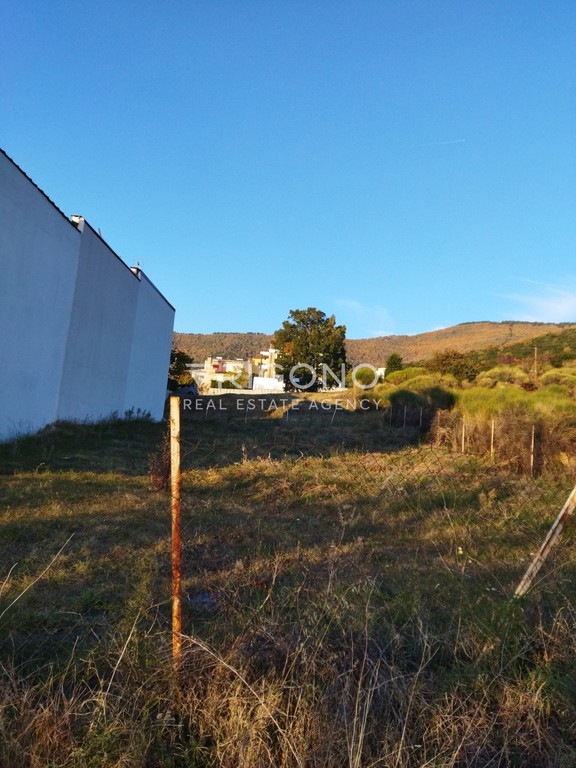 Οικόπεδο 475 τ.μ. προς πώληση, Κέντρο Πολυγύρου