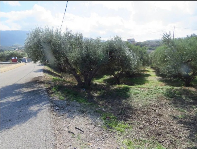 Οικόπεδο 536 τ.μ. πρός πώληση, Ν. Λασιθίου, Σητεία