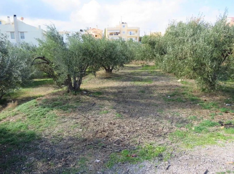 Οικόπεδο 536 τ.μ. πρός πώληση, Ν. Λασιθίου, Σητεία