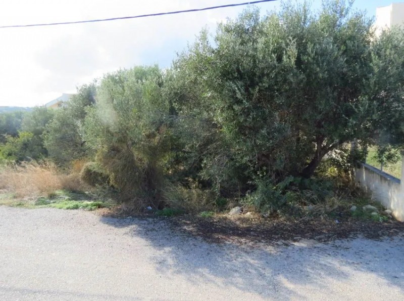 Οικόπεδο 536 τ.μ. πρός πώληση, Ν. Λασιθίου, Σητεία