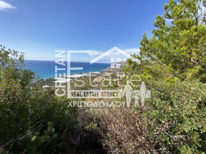 Αγροτεμάχια 25.000 τ.μ. προς πώληση, Μύρτος Ιεράπετρας