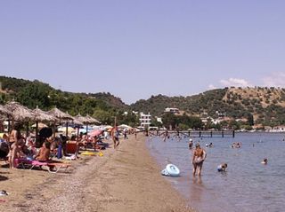Οικόπεδο 5.000 τ.μ. για πώληση, Εύβοια, Ωρεοί-thumb-13