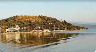 Οικόπεδο 5.000 τ.μ. για πώληση, Εύβοια, Ωρεοί-thumb-6