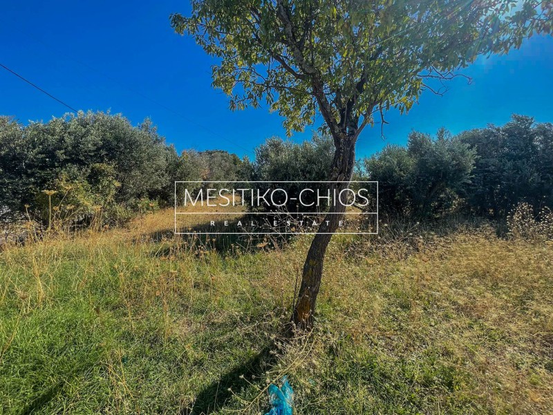 Οικόπεδο 2.476 τ.μ. προς πώληση, Πόλη Χίου