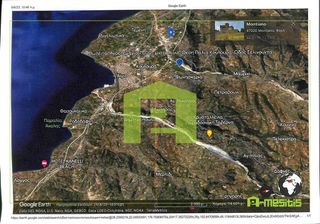 Αγροτεμάχια 7.000 τ.μ. για πώληση