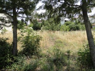 Οικόπεδο 1.000 τ.μ. για πώληση