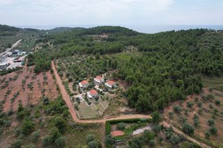 Αγροτεμάχια 5.586 τ.μ. για πώληση