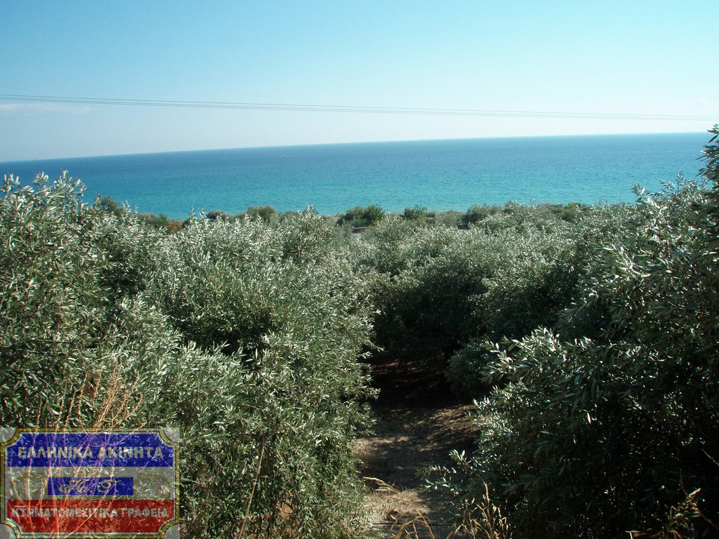 Αγροτεμάχια 8.700 τ.μ. πρός πώληση, Ν. Καβάλας, Ελευθερές