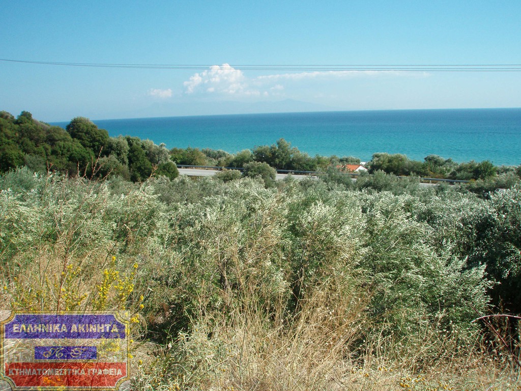 Αγροτεμάχια 8.700 τ.μ. πρός πώληση, Ν. Καβάλας, Ελευθερές