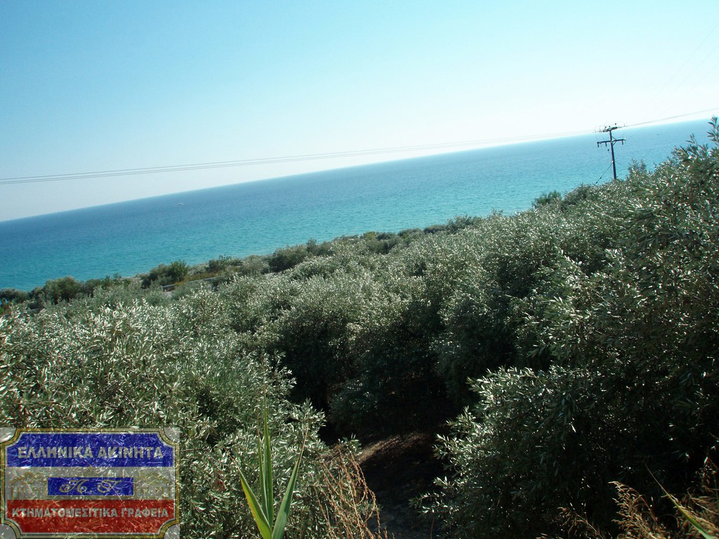 Αγροτεμάχια 8.700 τ.μ. πρός πώληση, Ν. Καβάλας, Ελευθερές