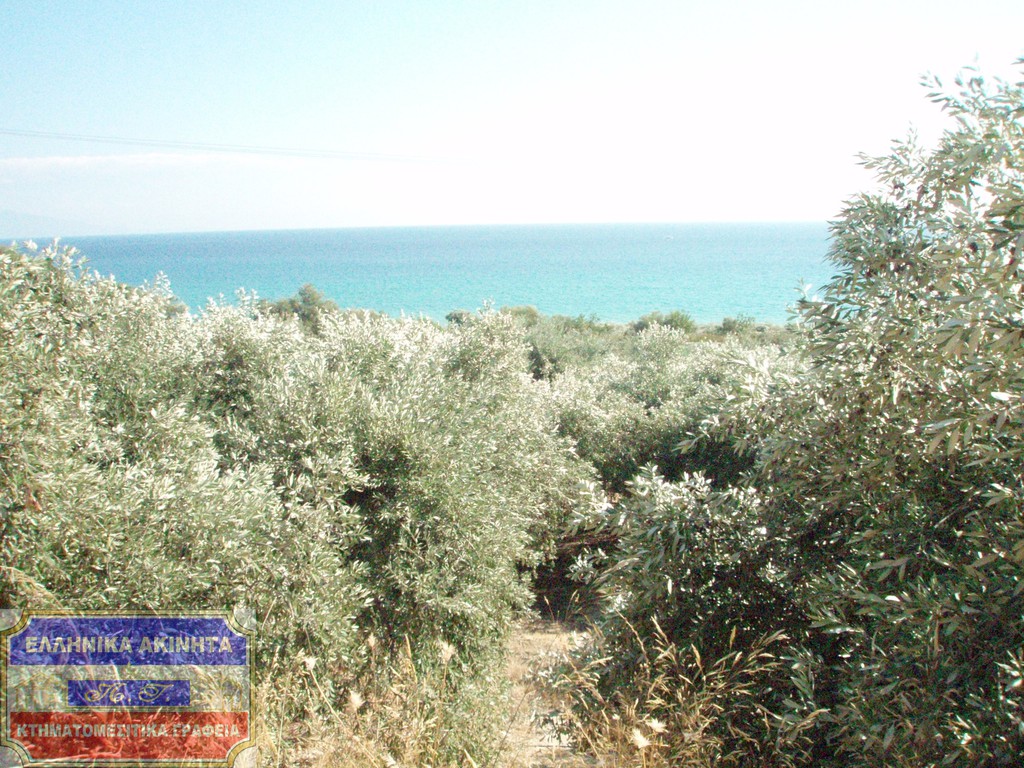 Αγροτεμάχια 8.700 τ.μ. πρός πώληση, Ν. Καβάλας, Ελευθερές