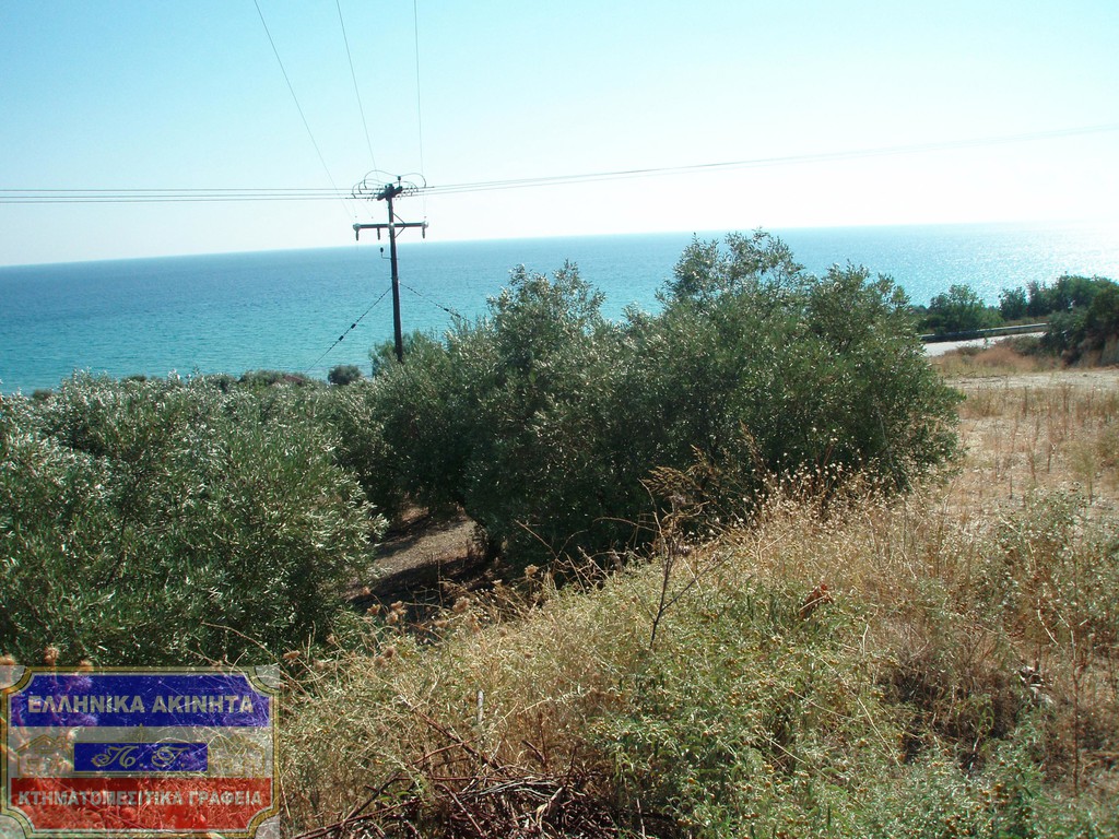 Αγροτεμάχια 8.700 τ.μ. πρός πώληση, Ν. Καβάλας, Ελευθερές