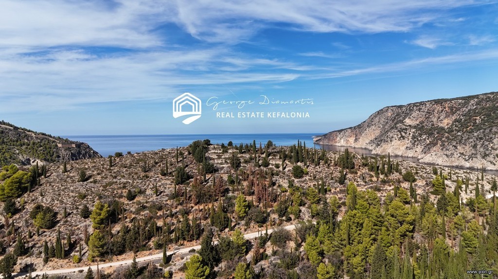 Αγροτεμάχια 5.596 τ.μ. προς πώληση, Έρισος