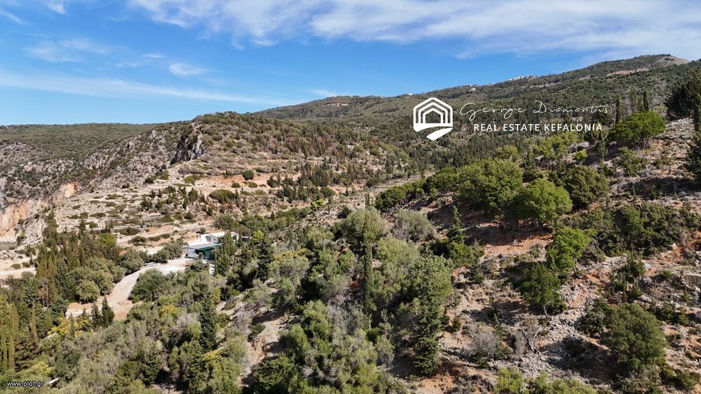 Αγροτεμάχια 5.596 τ.μ. προς πώληση, Έρισος
