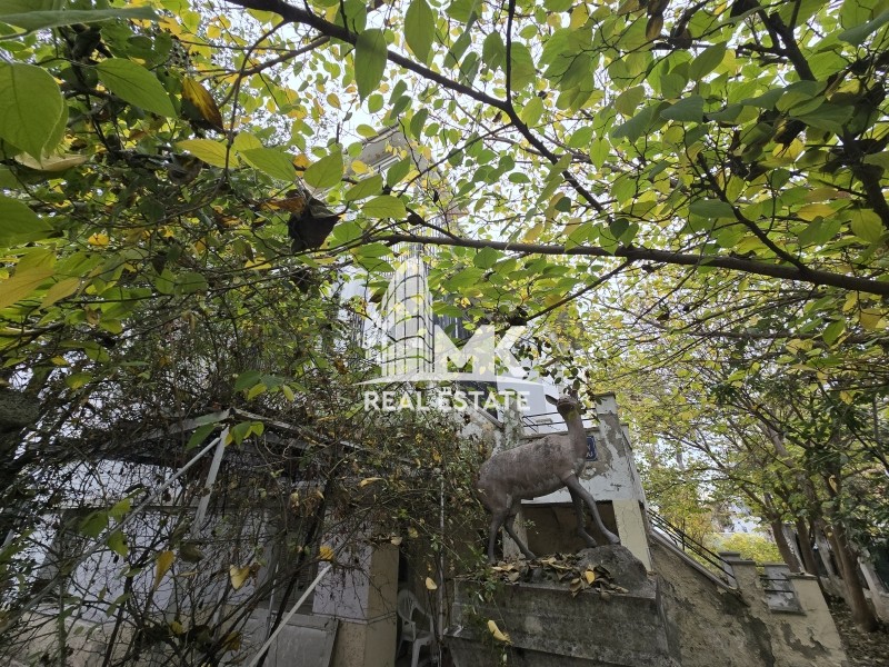 Μονοκατοικία 385 τ.μ. προς πώληση, Αρετσού