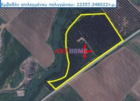 Αγροτεμάχια 23.000τ.μ. για πώληση-Τριγλία » Νέα πλάγια