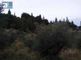 Οικόπεδο 1.535 τ.μ. για πώληση, Αχαΐα, Μεσσατίδα-thumb-1