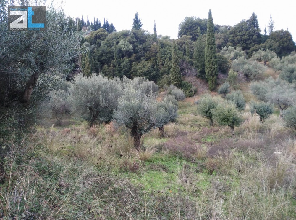 Οικόπεδο 1.535 τ.μ. προς πώληση, Αχαΐα, Μεσσατίδα