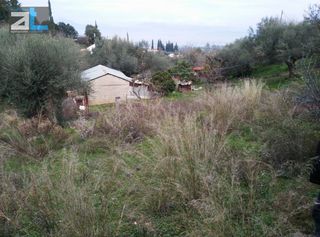Οικόπεδο 1.535 τ.μ. για πώληση, Αχαΐα, Μεσσατίδα-thumb-6